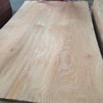 Mixed Light Hardwood (MLH) thumbnail