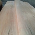 Mixed Light Hardwood (MLH) thumbnail