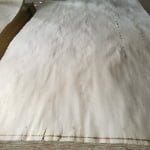 Bleached Poplar Veneer thumbnail