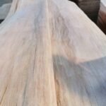 Mixed Light Hardwood (MLH) thumbnail
