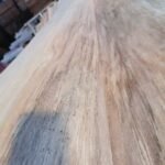 Mixed Light Hardwood (MLH) thumbnail