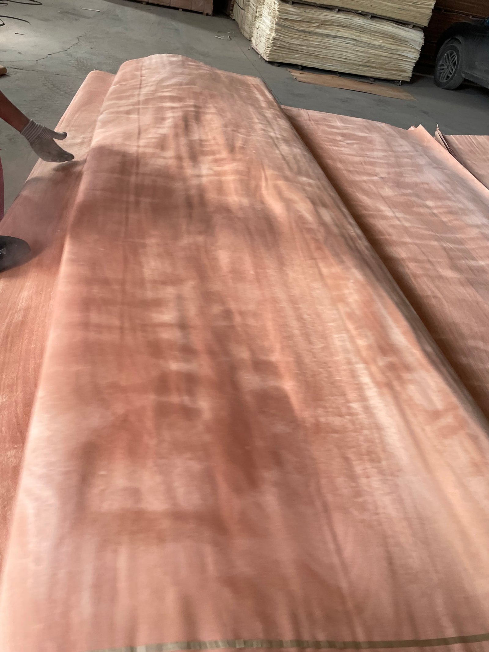 Rotary cut veneer sample