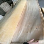 White Birch Veneer thumbnail