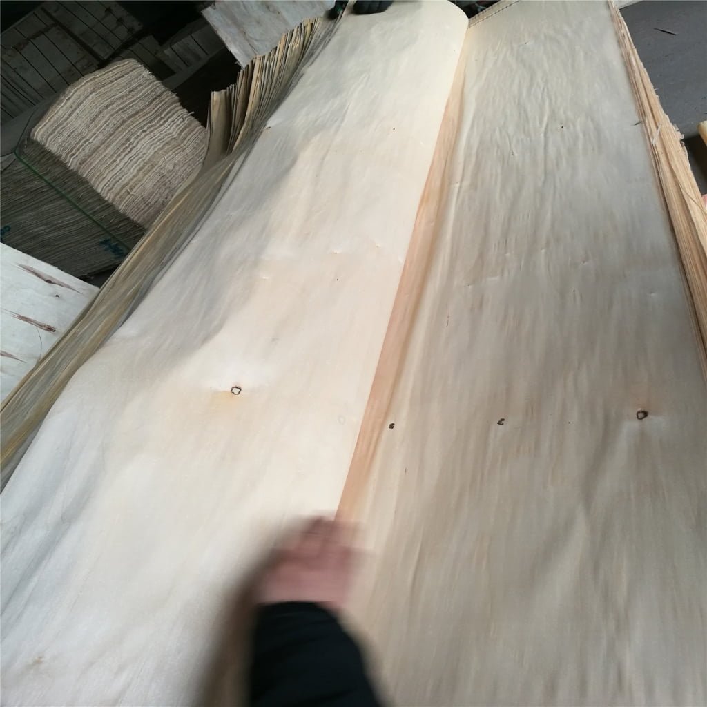 White Birch Veneer