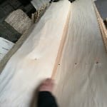 White Birch Veneer thumbnail