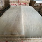 White Birch Veneer thumbnail
