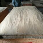 White Birch Veneer thumbnail