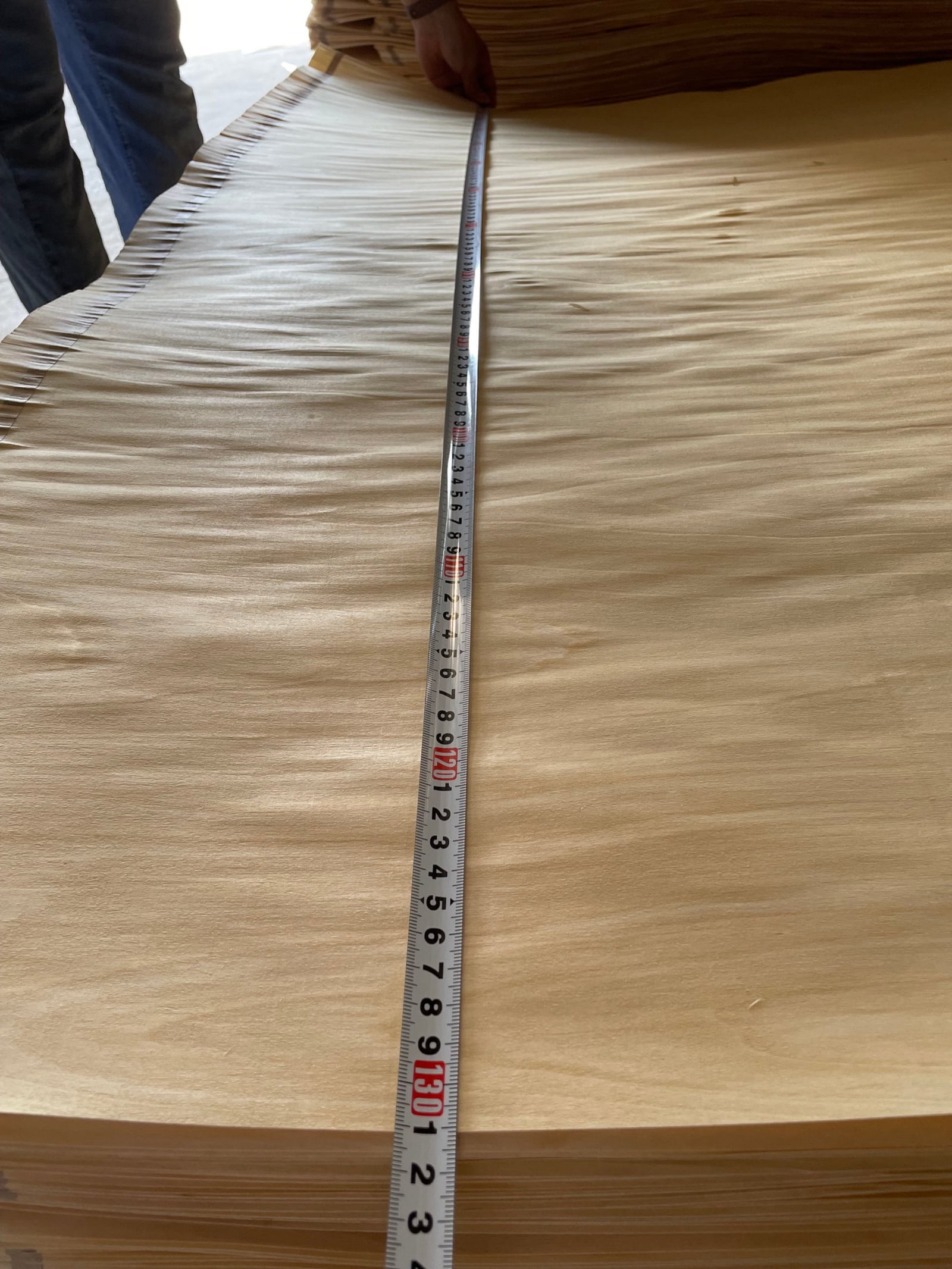 Veneer width measurement showing the tape reading at the sheet edge